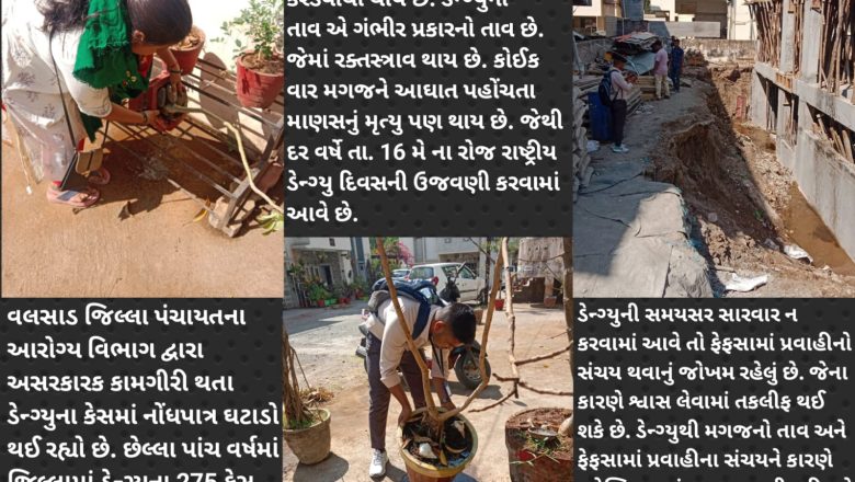 રાષ્ટ્રીય ડેન્ગ્યુ દિવસઃ વલસાડ જિલ્લા આરોગ્ય તંત્રની અસરકારક કામગીરીને પગલે જીવલેણ ડેન્ગ્યુને નાથવામાં મળી સફળતા