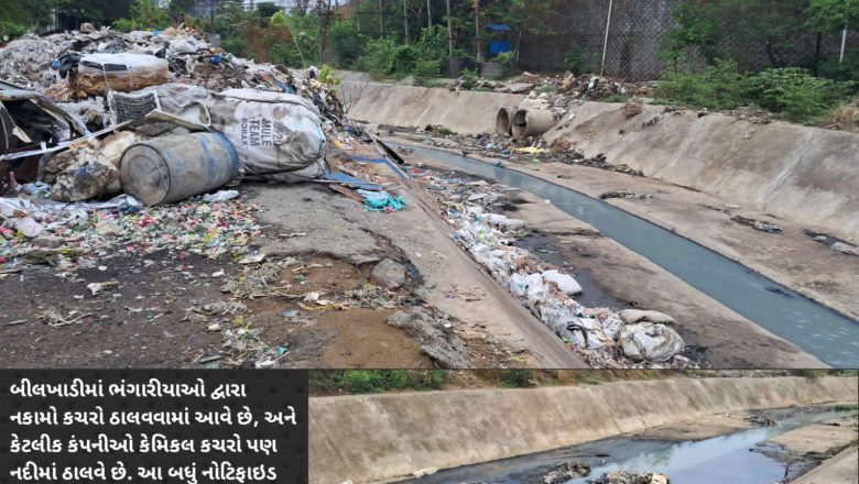 વાપી GIDC માંથી પસાર થતી બીલખાડીને પ્રદૂષણમુક્ત કરી આસપાસમાં ગ્રીન ઝોન ઉભો કરીશું તો, જ વાપીને એક આદર્શ ઔદ્યોગિક શહેર બનાવવામાં સફળ થઈશું