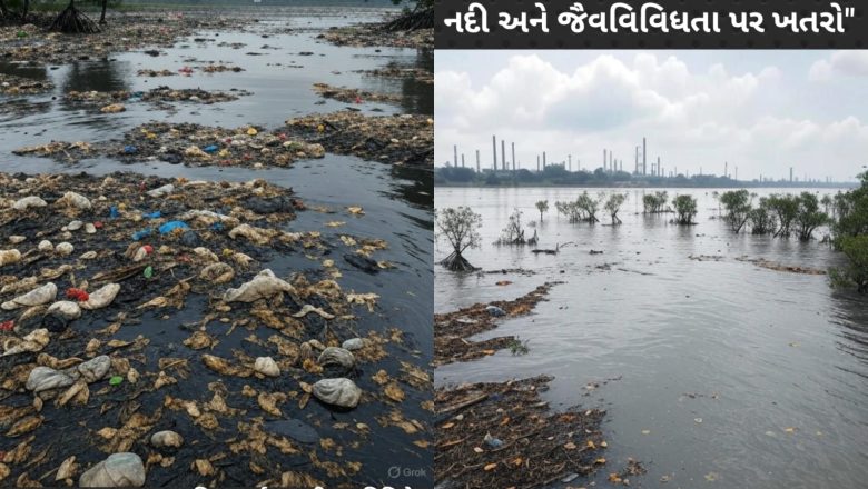 વલસાડમાં પર્યાવરણ પર સંકટ: દમણગંગા નદીનું પ્રદૂષણ અને મેન્ગ્રોવનો નાશ, વાપી-સરીગામના ઉદ્યોગો જવાબદાર…?
