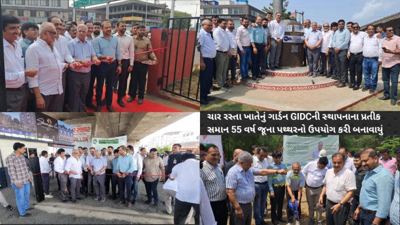 વાપીમાં વિશ્વ પર્યાવરણ દિવસની અનોખી ઉજવણી, નાણામંત્રીના હસ્તે પોકેટ ગાર્ડન, ગ્રીન બેલ્ટ, પાર્કિંગ પોઇન્ટનું ઉદ્ઘાટન અને વૃક્ષારોપણ