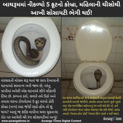 બાથરૂમમાં નીકળ્યો 5 ફૂટનો કોબ્રા, મહિલાની ચીસોથી આખી સોસાયટી ભેગી થઈ!