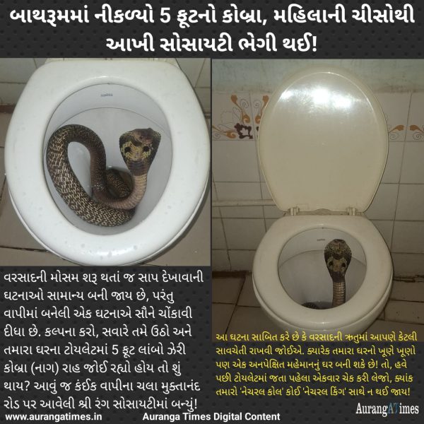 બાથરૂમમાં નીકળ્યો 5 ફૂટનો કોબ્રા, મહિલાની ચીસોથી આખી સોસાયટી ભેગી થઈ!