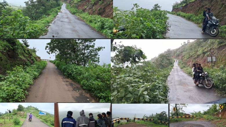 કોલવેરા-કોલક પાર્ટ-4:  હિલ સ્ટેશન તરીકે ગુજરાતનું ગૌરવ બની રહેલા કોલવેરાની ટોચ સુધીનો સાંકડો માર્ગ પ્રવાસીઓ માટે જોખમી મોતનો માર્ગ