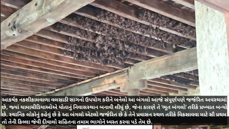 નાની વહિયાળમાં ચામાચીડિયાઓનું નિવાસસ્થાન બનેલ જર્જરિત બંગલો પર ‘બેપગા ચામાચીડિયા’નો ડોળો: પ્રવાસન સ્થળ બનાવવાની જીદ પાછળ જમીન પચાવવાનું ષડયંત્ર?