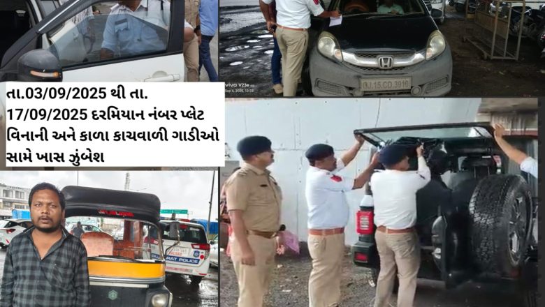 વલસાડમાં ટ્રાફિક ડ્રાઇવનો પ્રારંભ: નંબર પ્લેટ વિનાની અને કાળા કાચવાળી ગાડીઓ પર કાર્યવાહી, કુલ 92 કેસ નોંધ્યા