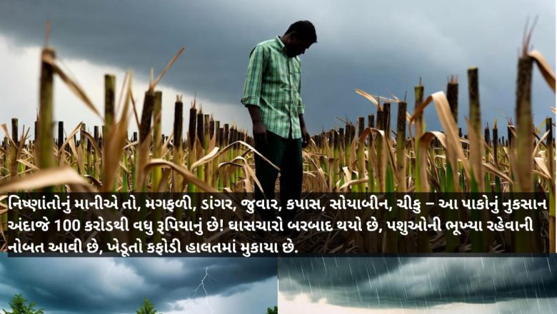 માવઠાના મારથી ગુજરાતના ખેડૂતોને મોઢે આવેલો કોળિયો છીનવાયો! સરકારની બેદરકારીએ ખેડૂતોના સપનાં પલળ્યાં, સર્વેના નાટક કરતી મૃદુ સરકાર ક્યારે જાગશે?