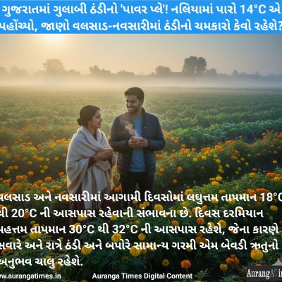 ગુજરાતમાં ગુલાબી ઠંડીનો ‘પાવર પ્લે’! નલિયામાં પારો 14°C એ પહોંચ્યો, જાણો વલસાડ-નવસારીમાં ઠંડીનો ચમકારો કેવો રહેશે?