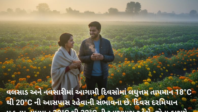 ગુજરાતમાં ગુલાબી ઠંડીનો ‘પાવર પ્લે’! નલિયામાં પારો 14°C એ પહોંચ્યો, જાણો વલસાડ-નવસારીમાં ઠંડીનો ચમકારો કેવો રહેશે?