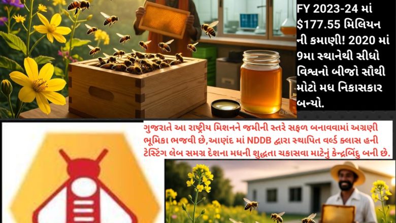 મધના મીઠા ટીપાંથી આત્મનિર્ભરતા: National Beekeeping and Honey Mission (NBHM) ભારતની ‘Sweet Revolution’ અને ગુજરાતનો મધુર સાથ!